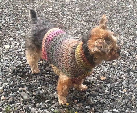 12 Crochet Dog Sweater Patterns For Your Fur Babies - Cream Of The Crop Crochet