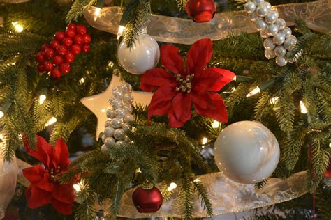 картинки : дерево, украшение, день отдыха, Рождество, Рождественская елка, рождественские ...