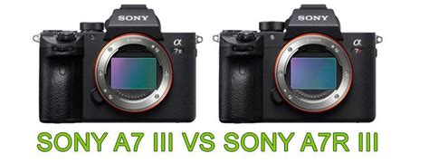 Comparativa Sony A7 III vs Sony A7R III 📷 - Cámaras EVIL 2024