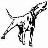 Dog Barking Drawing Sketch Coloring Page sketch template