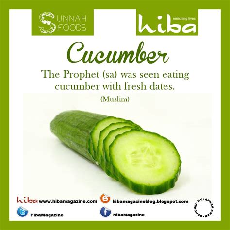 Sunnah Foods | Hiba | Publishers of Islamic Books & Accessories | Islam and science, Islam facts ...