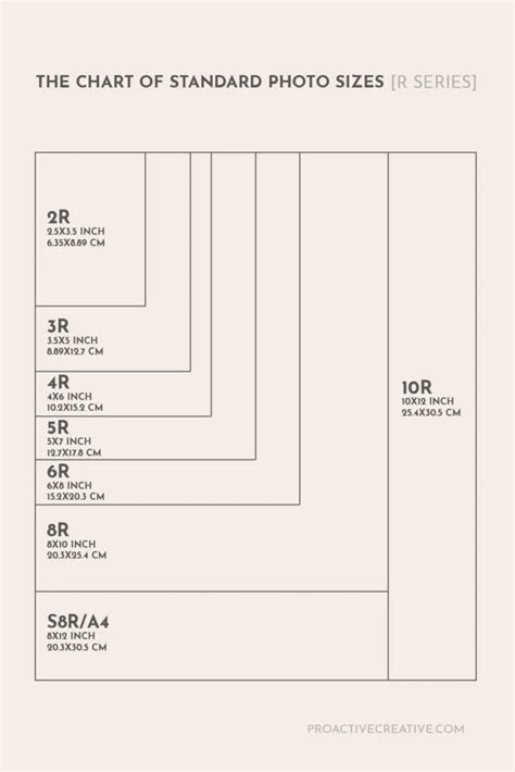 Standard Photo Sizes and Common Aspect Ratios for Social Media ( Colmpete Guide) | Graphic ...