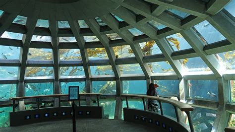 Hello Seattle, feat. the Seattle Aquarium | Adam Parkzer – Parkzer.com