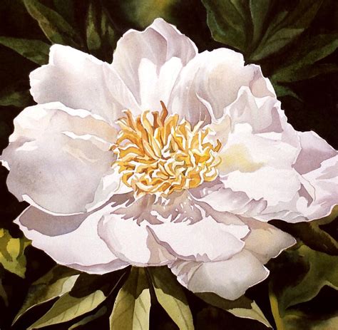 White Peony Painting by Alfred Ng