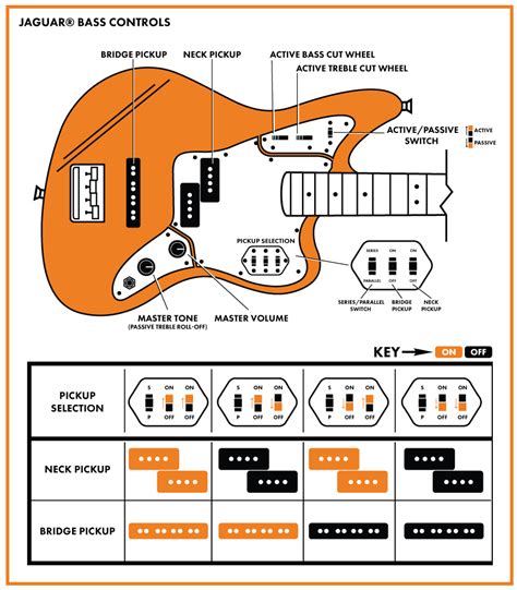 Squier Vintage Modified Jaguar Bass Special Wiring Diagram - Wiring Diagram