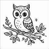 دانلود برگه رنگ آمیزی و نقاشی جغد  دولک sketch template