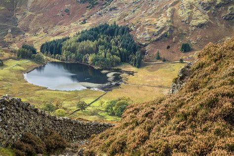 Lingmoor Fell walk - Elterwater walk - Langdale walks - Lake District walks