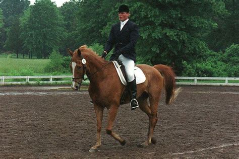 Christopher Reeve Was Paralyzed at an Equestrian Competition 29 Years Ago: Read PEOPLE's 1995 ...