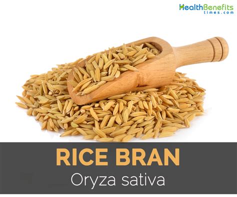 Rice bran Facts, Health Benefits and Nutritional Value