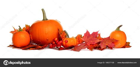 Pumpkins and fall leaves border isolated on white — Stock Photo © JeniFoto #168377158