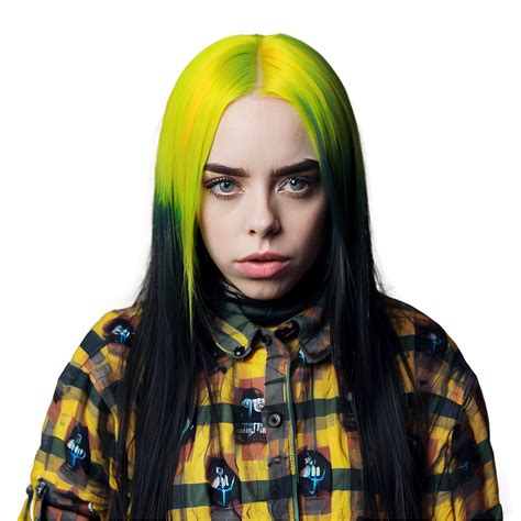 Download Billie Eilish Festival Appearance Png 45 | Wallpapers.com