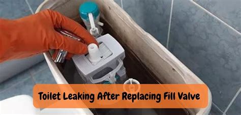 Why Toilet Fill Valve Leaking: Discovering the Reasons!