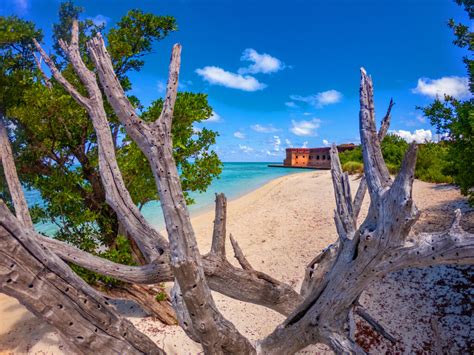 Exploring Dry Tortugas National Park - Westchase WOW