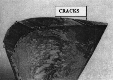 Damage on the blade tip. | Download Scientific Diagram