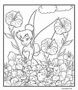 Printable Tinkerbell And Friends Coloring Pages sketch template