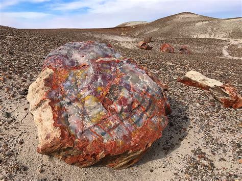 Exploring The Crystal Forest At Petrified Forest National Park