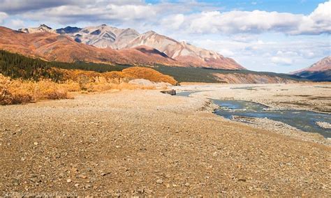 Camping In Denali National Park