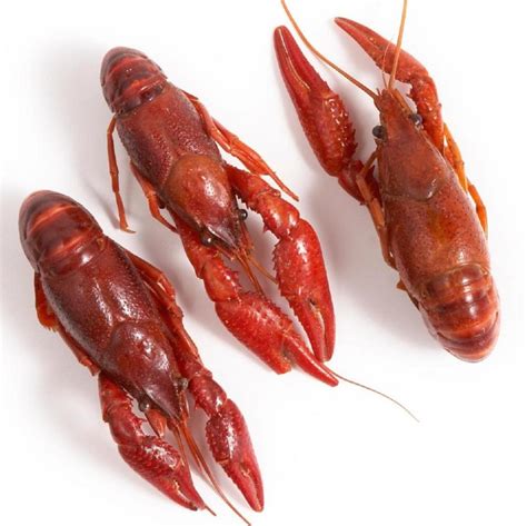 Frozen Crawfish lobster tails meat,South Africa price supplier - 21food