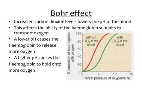 Oxygen dissociation and bohr effect lesson 1 of 2