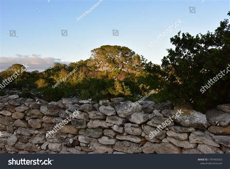 149 Water Kraal Images, Stock Photos, 3D objects, & Vectors | Shutterstock