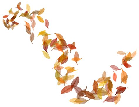 Transparent Fall Leaves PNG Image | Gallery Yopriceville - High-Quality ...