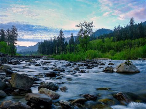 Hoh Rainforest - John Pedersen Photography