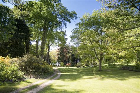 Englefield House Garden, Reading, Berkshire, RG7 5EN - National Garden Scheme