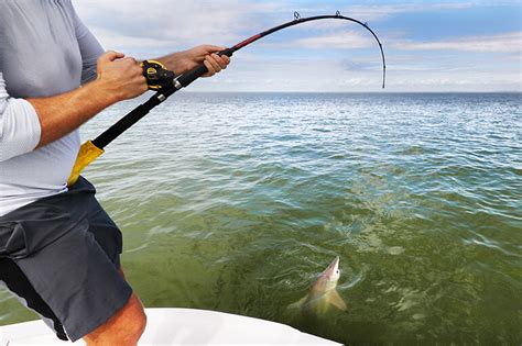 7 Best Saltwater Fishing Trips - Game & Fish