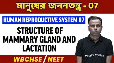 মানুষের জননতন্ত্র 7 | Structure Of Mammary Gland And Lactation | WBCHSE ...