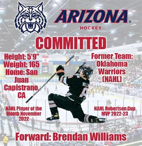 Wildcats make a huge splash, adding North American Hockey League (NAHL ...