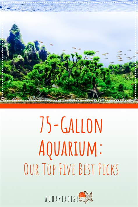 75-Gallon Aquarium: Our Top Five Best Picks