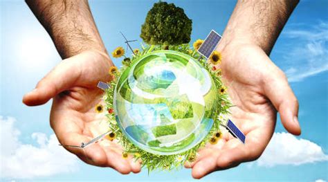 Environmental Movement | Sustainable Environment Online