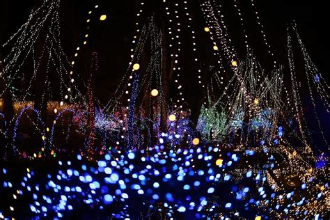 2023 Holiday Light Show Recap | Rotary Botanical Gardens