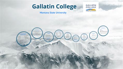 Gallatin College 2017 by Gallatin College