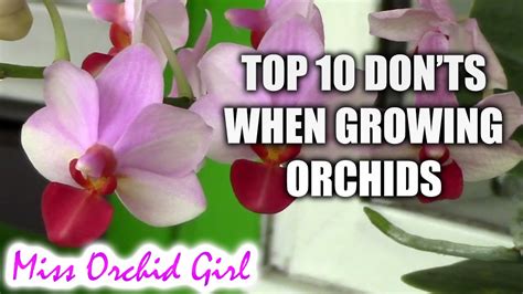 Top 10 DON'Ts when Growing Orchids - tips for orchid beginners - YouTube