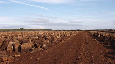 Peat and it´s benefitsI Kekkilä-BVB I Horticulture I Substrate