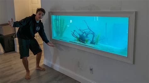 How to Feed Fish in Wall Aquarium? - Aquariumia