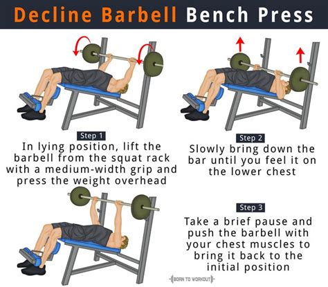 Decline Barbell Bench Press: Forms, Benefits, Muscles Worked | Born to Workout