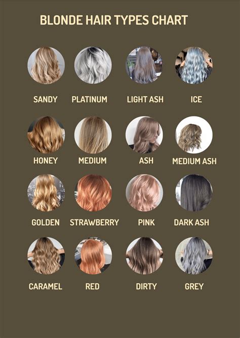 Blonde Hair Types Chart in PDF, Illustrator - Download | Template.net