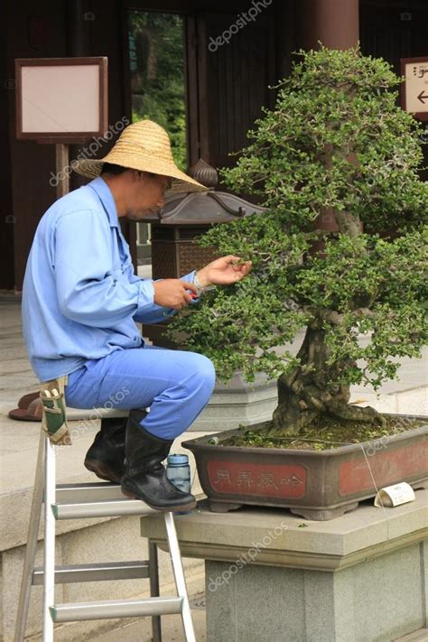 Worker pruning bonsai tree, Chi Lin Nunnery, Hong Kong – Stock ...