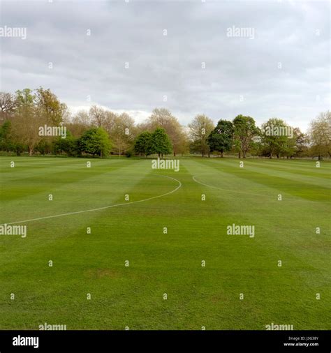 Grass playing field Stock Photo - Alamy