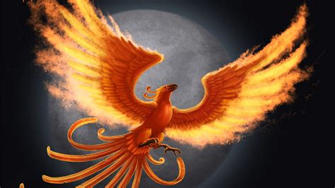 View Phoenix Bird Hd Wallpaper PNG - All Wallpaper HD