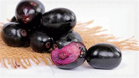 Jamun: A small, yet powerful fruit - Hindustan Times