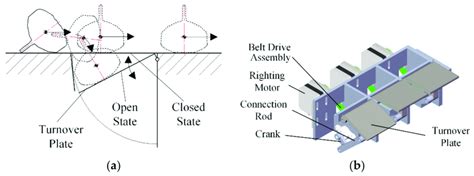 Righting mechanism. (a) Principal diagram of the righting mechanism;... | Download Scientific ...