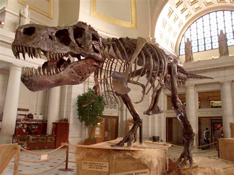 RETRO KIMMER'S BLOG: SUE THE T REX WAS FOUND AUG 12 1990