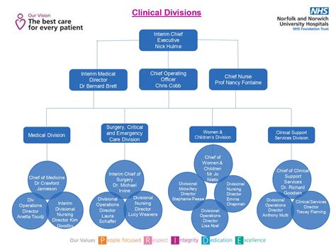 Norfolk and Norwich University Hospitals NHS Foundation Trust » Our organisational Structure