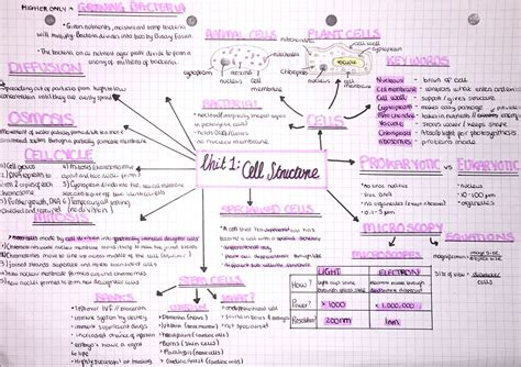 Biology Cell Structure Mind Map