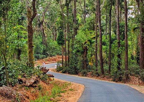 Why you need to head to Madikeri to reconnect with nature ...