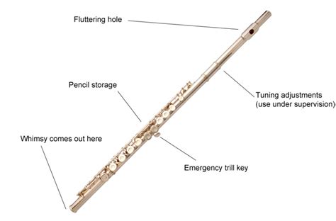 Musical instrument instruction diagrams: get to know your instrument - Classic FM