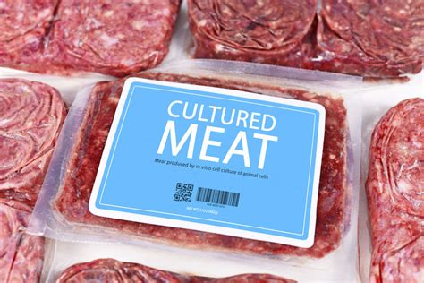 "The rise of 'synthetic meat' is based on little scientific data" – Archyde